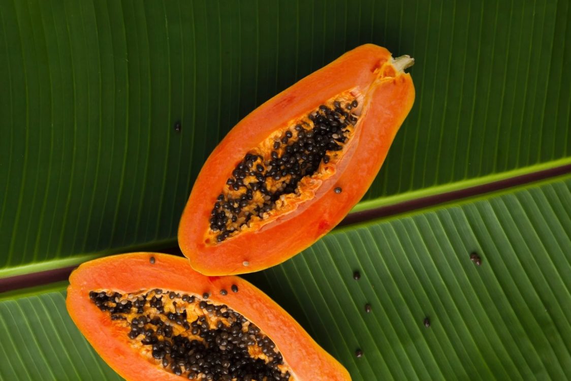 papája obsahuje tráviace enzýmy