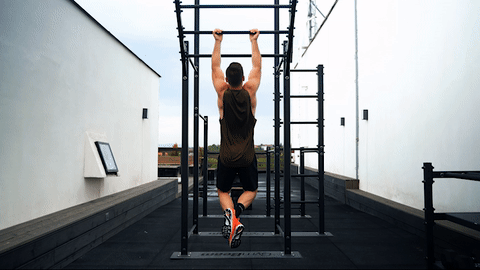 How to correctly perform the chin-ups?