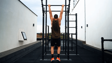 How to perform the scapular pull-ups?