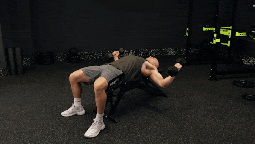 How to perform dumbbell chest fly?