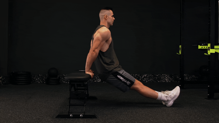 How to Perform Triceps Bench Dips?