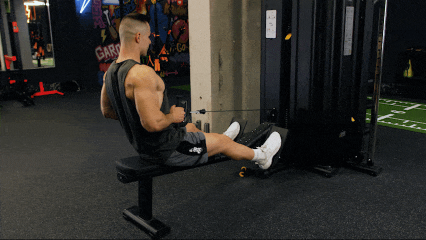How to properly execute a Seated Cable Row?