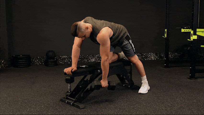 How to properly execute a One Arm Dumbbell Row?
