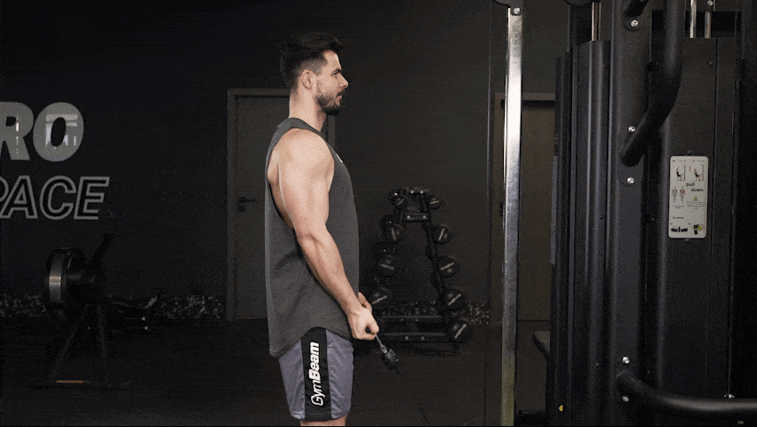 How to properly perform Cable Biceps Curls