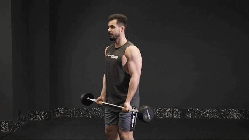 How to properly perform Barbell Biceps Curl?