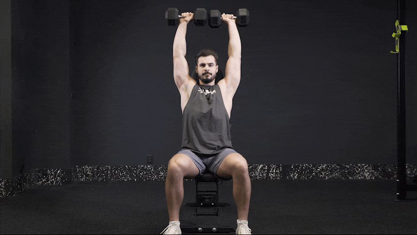 How to properly perform Seated Dumbbell Press