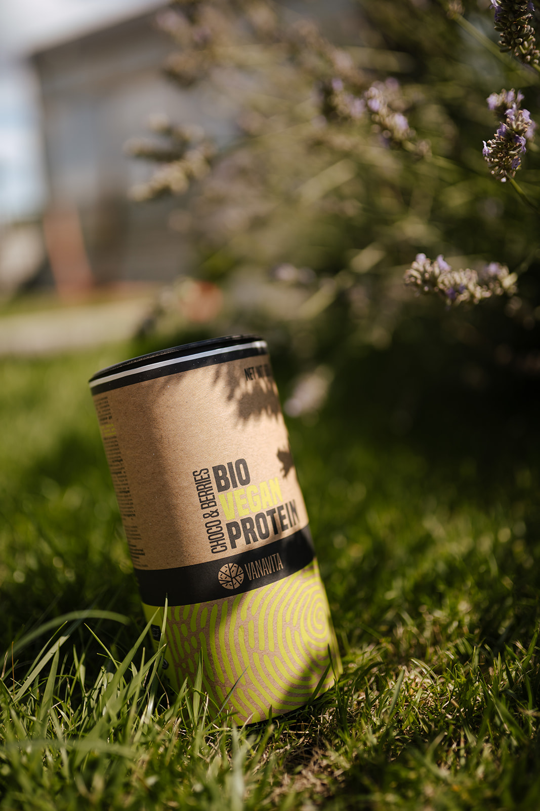 Quale proteina vegana è la migliore? Quale proteina vegana è la migliore?