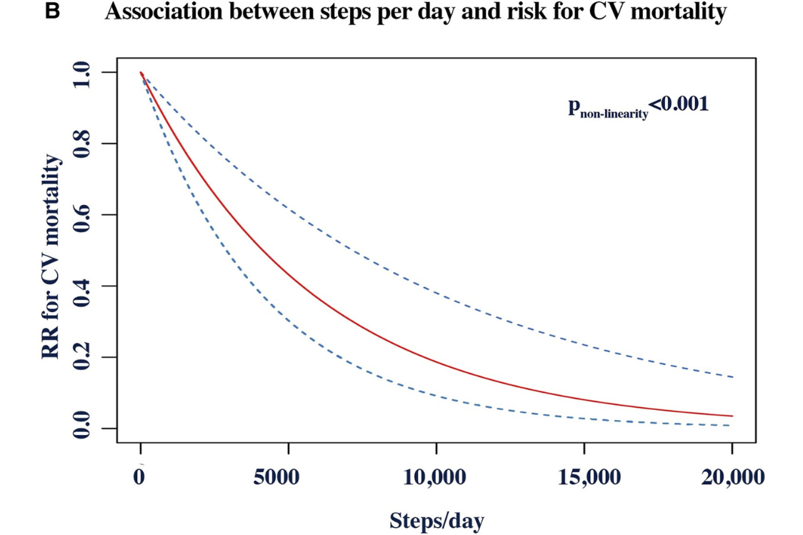 Vliv na kardiovaskulární onemocnění Vliv na kardiovaskulární onemocnění