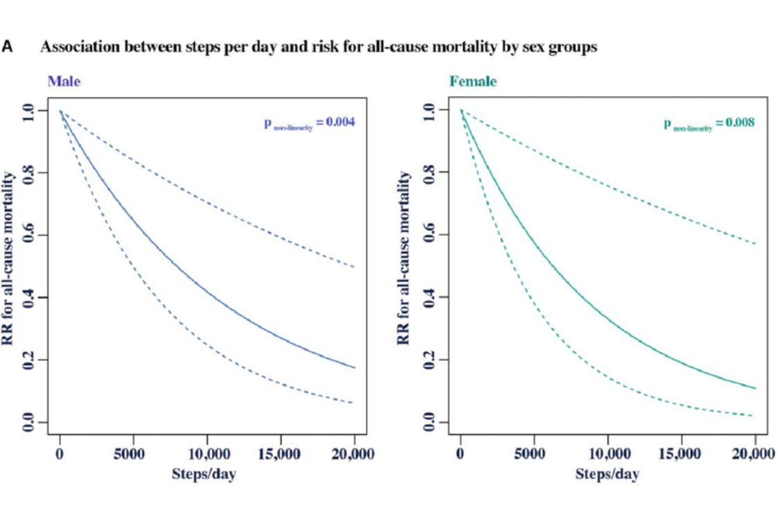 Odlišnost mezi pohlavími Odlišnost mezi pohlavími