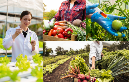 GMO potraviny: Spása, nebo hrozba?