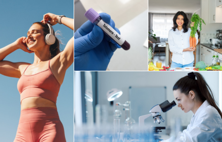 Jak zpomalit stárnutí? Odpověď ukrývají telomery