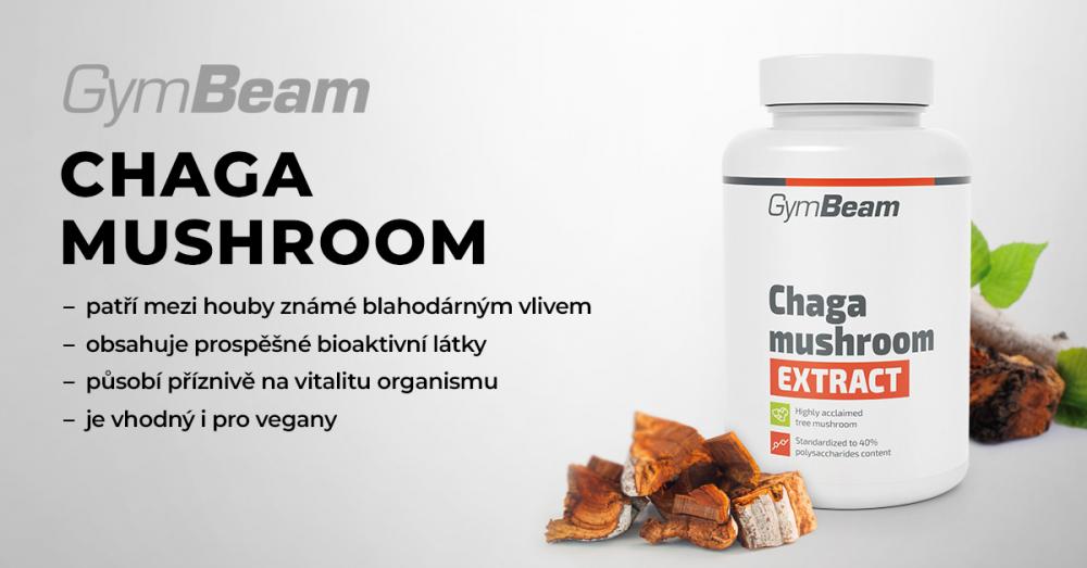Extrakt z houby Chaga (rezavec šikmý) - GymBeam