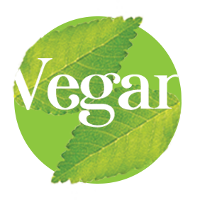 Protein Porridge Vegan 75 g - Feel Free Nutrition