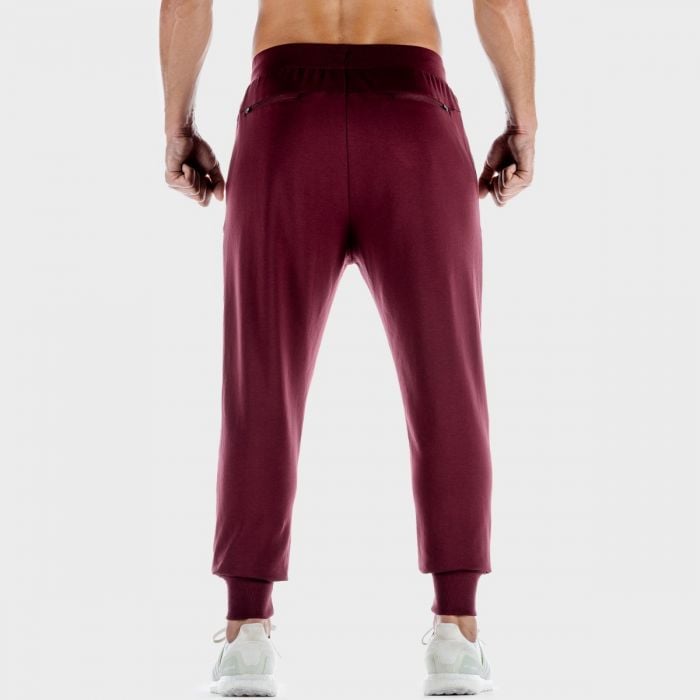 Tepláky Lab 360 Joggers Tawny Port - SQUATWOLF S