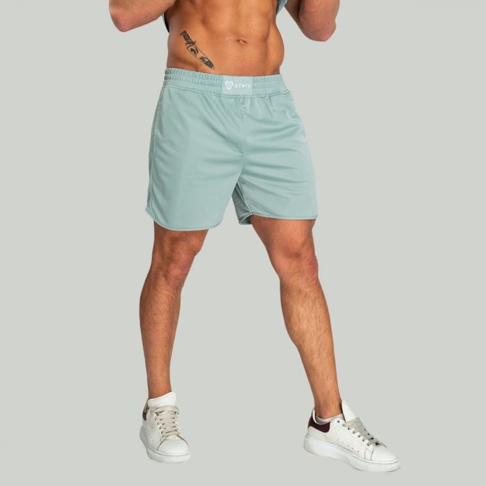 Šortky Nebula Stone Blue - STRIX XL