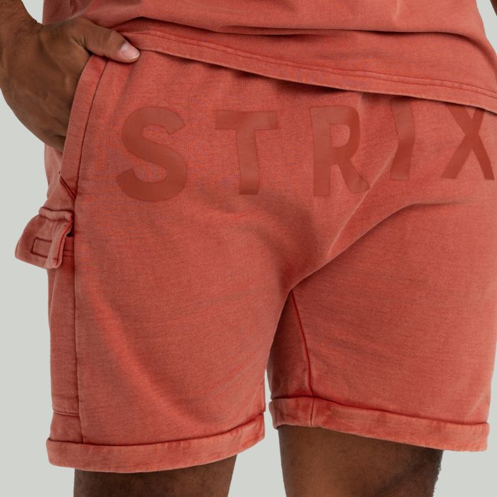 Šortky Washed Terra - STRIX L