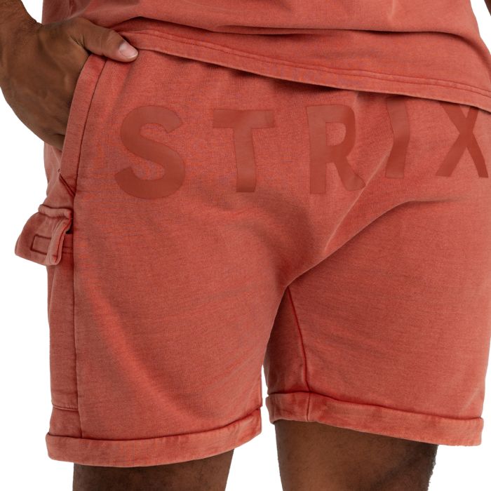 Šortky Washed Terra - STRIX L