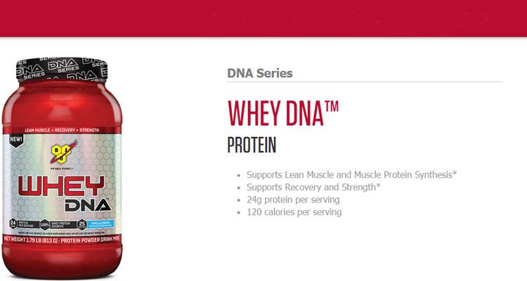 dna whey bsn