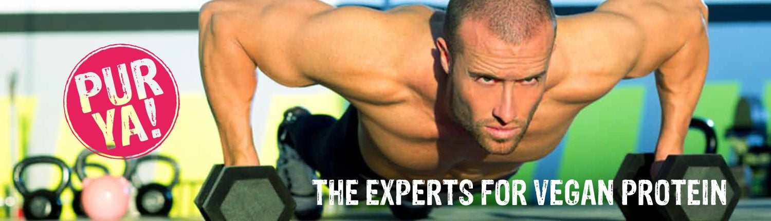 bio slunečnicový protein