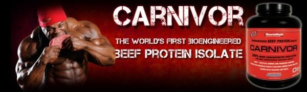 Protein Carnivor - MuscleMeds