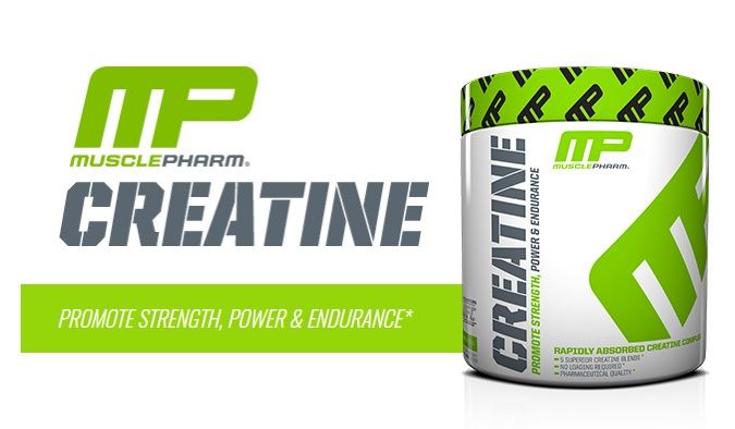 kreatin - muscle pharm